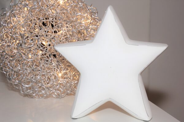 220 Drahtkugel Lampe