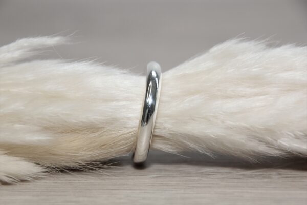 Fingerring poliert