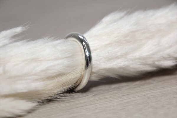Fingerring poliert – Bild 3