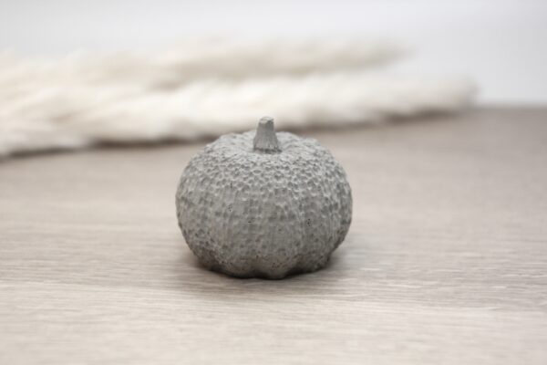 Beton Kürbisse – Bild 5